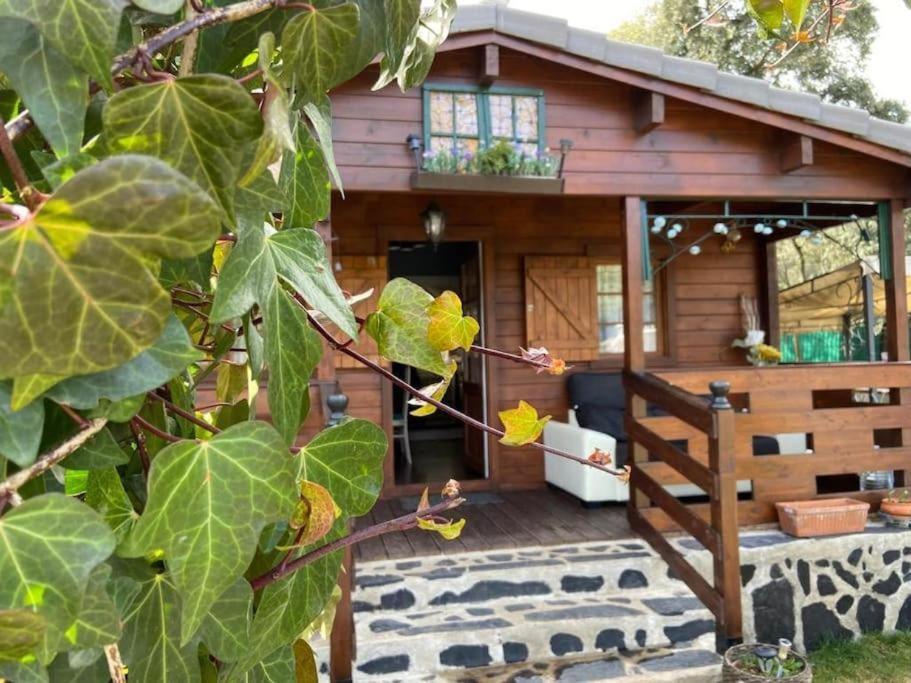 Desconexion Y Paz, Cabana En La Sierra Albalate De Zorita Esterno foto